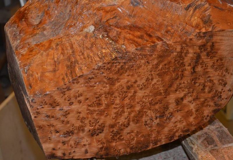 Bottom Cut Close up and wetted down